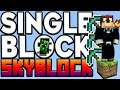 MineCraft Skyblock One Block - I Finally Get Out of it