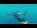 Stranded Deep Co Op Online Update PS5, PS4