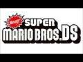 Underground - Newer Super Mario Bros. DS