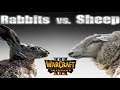 Warcraft 3 REFORGED | Rabbits & Sheeps - The Battle
