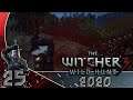 GERALT IM BLUTRAUSCH ⚔ [25] [MODS] THE WITCHER 3 GOTY [MODDED] 2020 Deutsch LETS PLAY