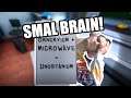 Size Matters but I have a Small Brain!
