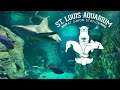 St Louis Aquarium at Union Station Tour & Review with The Legend