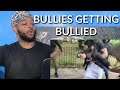 When Bullies Get Bullied | Reaction