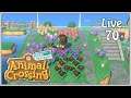 Animal Crossing: New Horizons - Live 70 🏝️ Umbauen und Farmen