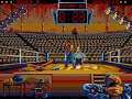 Best of the Best Championship Karate  HYPERSPIN DOS MICROSOFT EXODOS NOT MINE VIDEOS1992