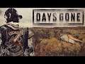 Gameplay - Days Gone #30