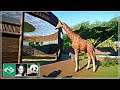 🐼 Giraffe, Zebra & Ostrich Habitat | Speed Build | Planet Zoo | Meilin Zoo | Ep. 24 |