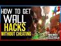 How to Get Wall Hacks In Black Ops Cold War Without Cheating | Call of Duty BootCamp
