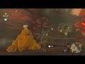 Let's Stream-The Legend of Zelda:Breath of the Wild-Day 4