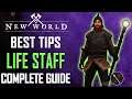 New World Life Staff Weapon Guide and Gameplay Tips - Best Skills & Abilities