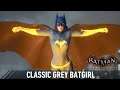 SKIN; Batman; Arkham Knight; Classic Grey Batgirl