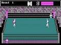 Tag Team Wrestling 1986 mp4 HYPERSPIN DOS MICROSOFT EXODOS NOT MINE VIDEOS