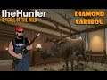 theHunter: Call of the Wild - Glitched Diamond Caribou