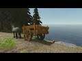 Лесозаготовка, угольные кучи и укрепление шахты - Wurm Online (Steam) #07