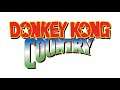 Cranky's Theme (Restored) [1HR Looped] - Donkey Kong Country Music