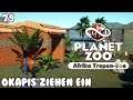 Okapis ziehen ein • PLANET ZOO • Afrikanischer Tropen-Zoo • 79