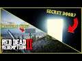 Weirdest Glitches & SECRETS! | Red Dead Online | PS4