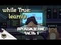 while True: learn(). Прохождение игры. Часть 1: ищем на картинке кота.
