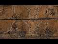 Apocalipsis: The Tree of the Knowledge of Good and Evil Part 2