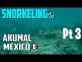 (El Camino) Snorkeling in Akumal, México Part 3