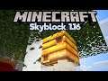 How To Spawn Bees & Farm Honey in Skyblock! ▫ Minecraft 1.16 Skyblock (Tutorial Let's Play)[Part 15]