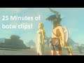 Incredible Botw Clips!
