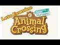 Let's Examine EVERYTHING Animal Crossing New Horizons