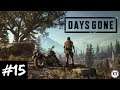 Let's Play! Days Gone No Commentary Part 15 (PS4 Pro)