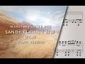 MH Rise Sandy Plains 砂原 Theme Piano Cover (砂塵きらめく、荒漠の地) Monster Hunter Rise