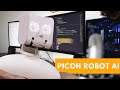 Picoh: Personal Robot AI for Coders