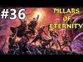 Pillars of Eternity #36 Der Auftrag der Druiden #Blind [Gameplay] [German] [Deutsch]