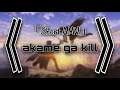 Akame Ga Kill「Short AMV」- Hold up