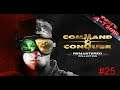 Command & Conquer Multiplayer [Deutsch] - Lets Play  Alarmstufe rot #25 Krieg am Halloween