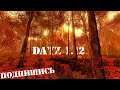 DayZ 1.12 Под Дождь
