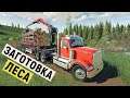 Farming Simulator 19 - ЗАГОТОВКА ЛЕСА  - ПЕРЕВОЗКА ЛЕСА - Фермер на НИЧЕЙНОЙ ЗЕМЛЕ # 87