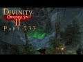 Let's Play Together Divinity: Original Sin 2 - Part 233 - Runde 2 gegen Außen
