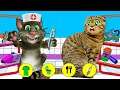 My talking Tom in real life Parody-Cardboard Game for my cat Rory
