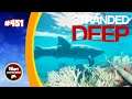 Stranded Deep: How To Get Rawhide 451