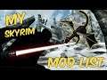 Super AWESOME Mod List in Skyrim... This list will shock you // How to MOD Skyrim LIKE A CHAMP!!!!