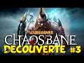 Warhammer Chaosbane # 3