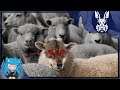 ACTING LIKE THE WOLF IN SHEEPS CLOTHING? | Deceit |