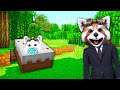BEBE LAVI S-A ASCUNS IN TORT! O Gasesc?! HIDE AND SEEK IN MINECRAFT