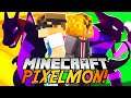 Fluffy and I are Chickens now | PIXELMON