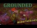Grounded - Co-Op - Bush Bandits