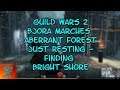 Guild Wars 2 Bjora Marches Aberrant Forest Just Resting-Finding Bright Shore