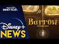 Pixar SparkShorts “Burrow” Coming Soon To Disney+ | Disney Plus News