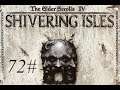 Zagrajmy w The Elder Scrolls IV: Shivering Isles (Torturuję ludzi :D) part 72