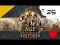 🔴🎮 Age of Empire definitive edition - pc - 25