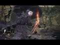 Dark Souls 3 - Crystal Sage Boss Fight